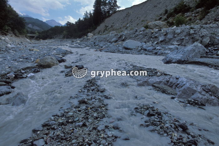 Torrent avec blocs - gryphea.org